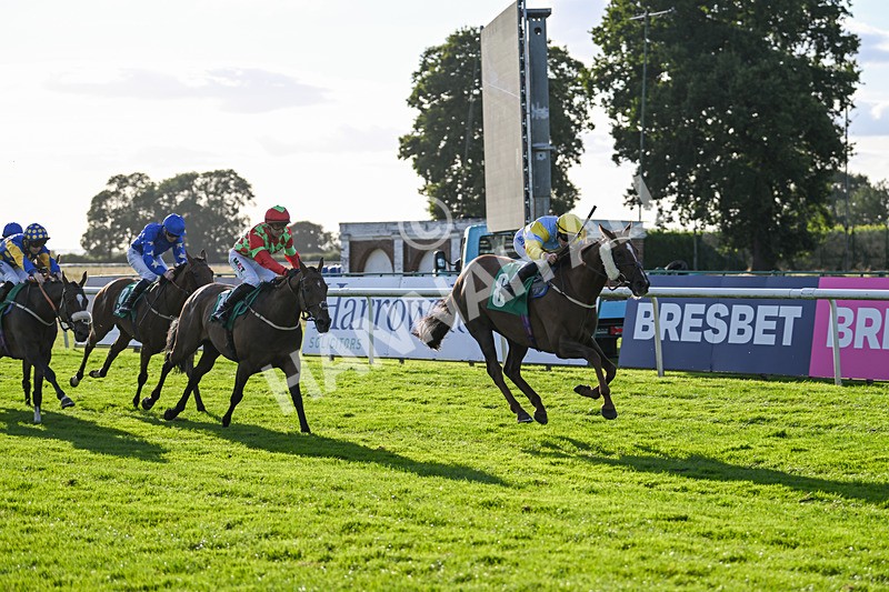 160824-Race 4-Jamih-9337 - Race 4