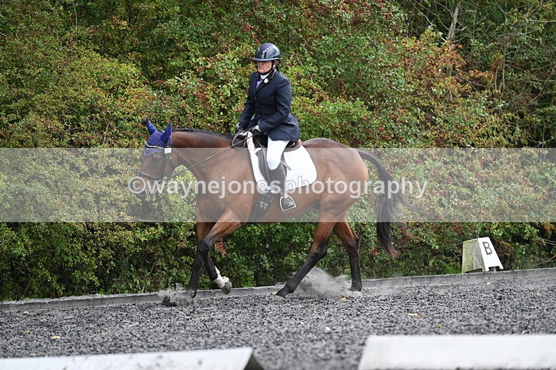 WJ7_6488 - Time 14:49 to 15:14