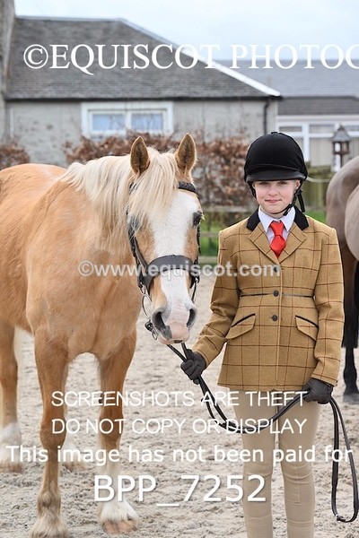 BPP_7252 - RING 1  (RIDDEN HORSES / IN HAND / VETERAN ETC)