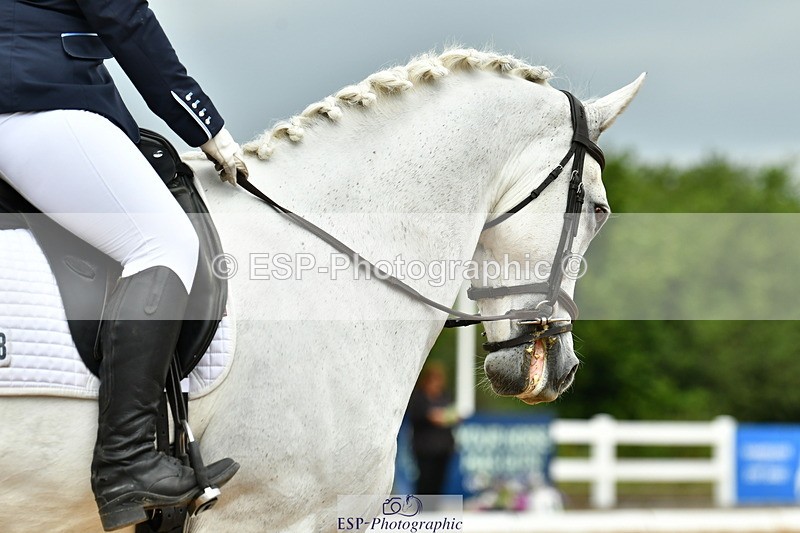 230701A-111555-05187 - Cls 5 Novice 37A