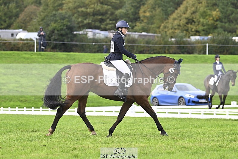 251023A-140718-04250 - D-328-Julia.Knight-Jones