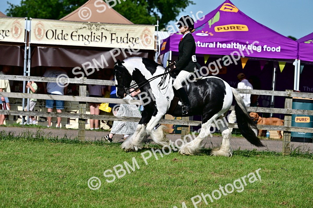 SBM_09322