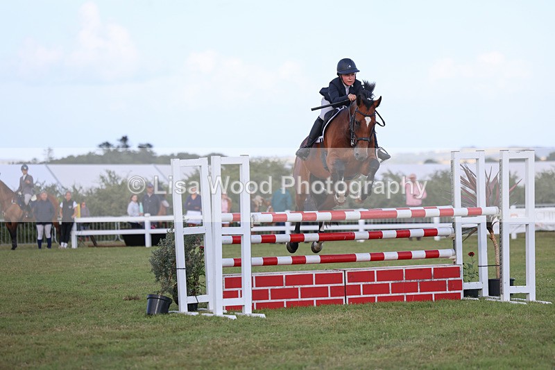 3E7A4687 - Class C1: Showjumping Senior Newcomers/1.10m open