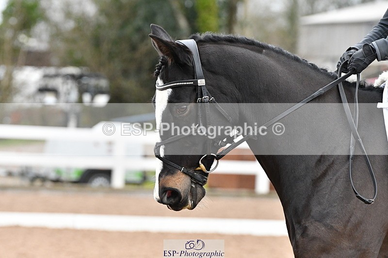 231217A-121322-00923 - Unaffiliated Classes