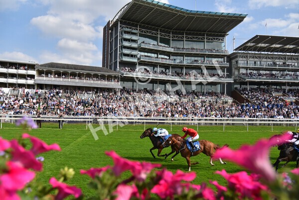 yr05092021r1-36 - Race 1 2.10pm IRE-Incentive It Pays To Buy Irish ebfstallions.com Novice Stakes