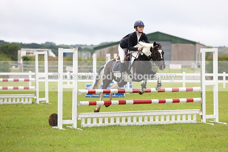 3E7A6586 - Class 9: Pony Discovery/90cm open