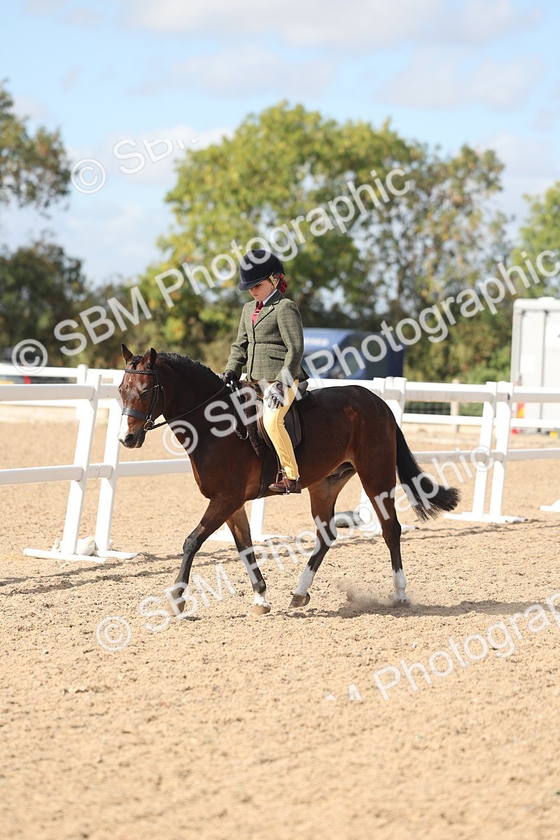 SBM_23137 - Class 806 - Young Rider 10ry and Under