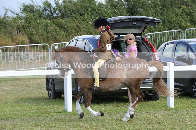 1X9A5709 - Class 40: NPS Welsh A & B
