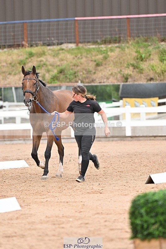 250716-161540-02527 - Trot Up 3.30 to 4.30