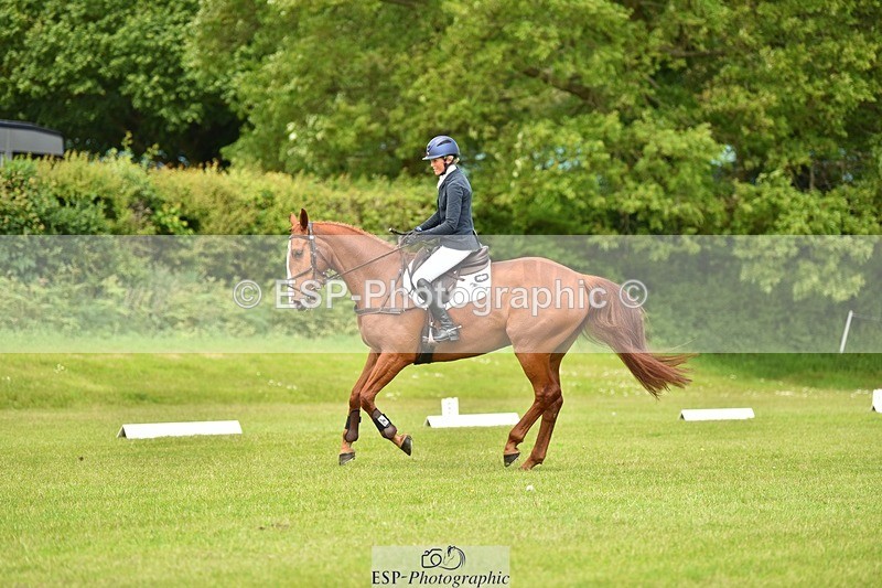 240523B-131400-02349 - 5 Year Old