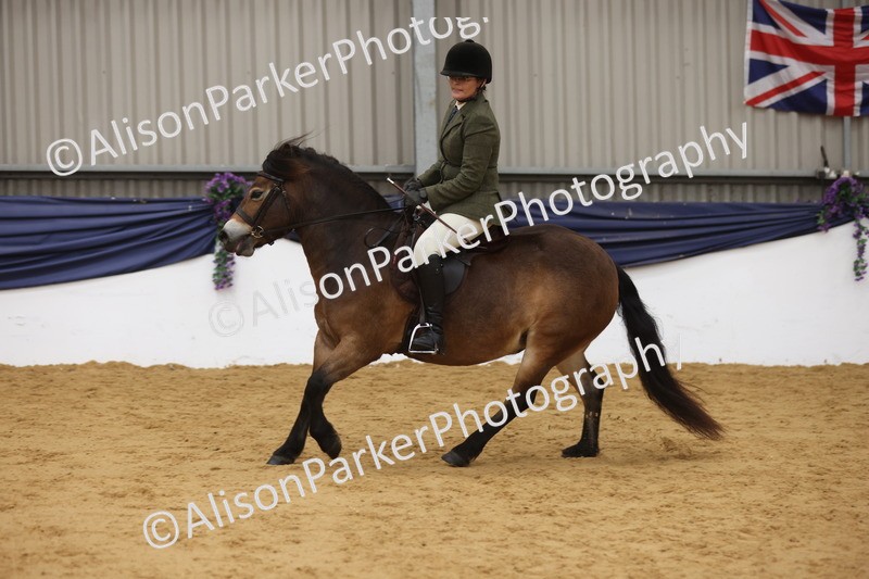 20260913-0631 - Class 126 - Novice Ridden