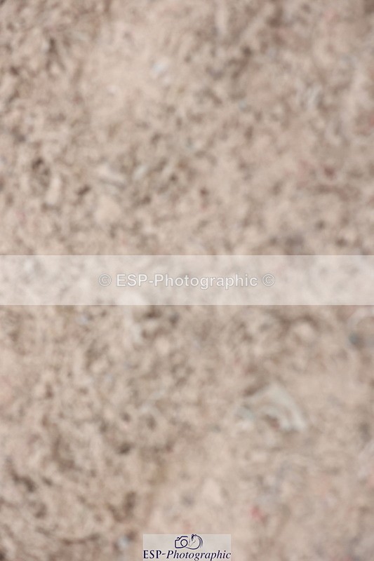 241101A-154030-03084 - FRI Cls 7 Blue Chip Grade B&C Jump Off