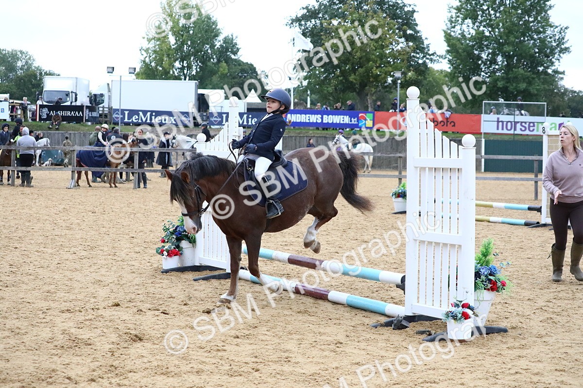 SBM_68339 - J3b - Mini Tour Junior Pony 40cm Championship