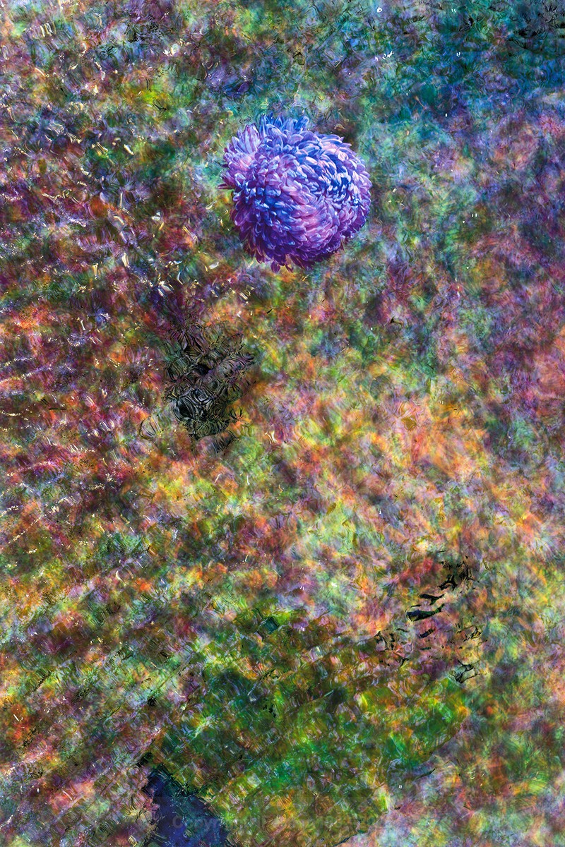 ENTROPY TRIPTYCH Vll-lX - ENTROPY 2023