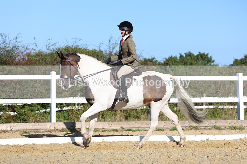 3E7A5271 - Class 8: Small Ridden Hunter
