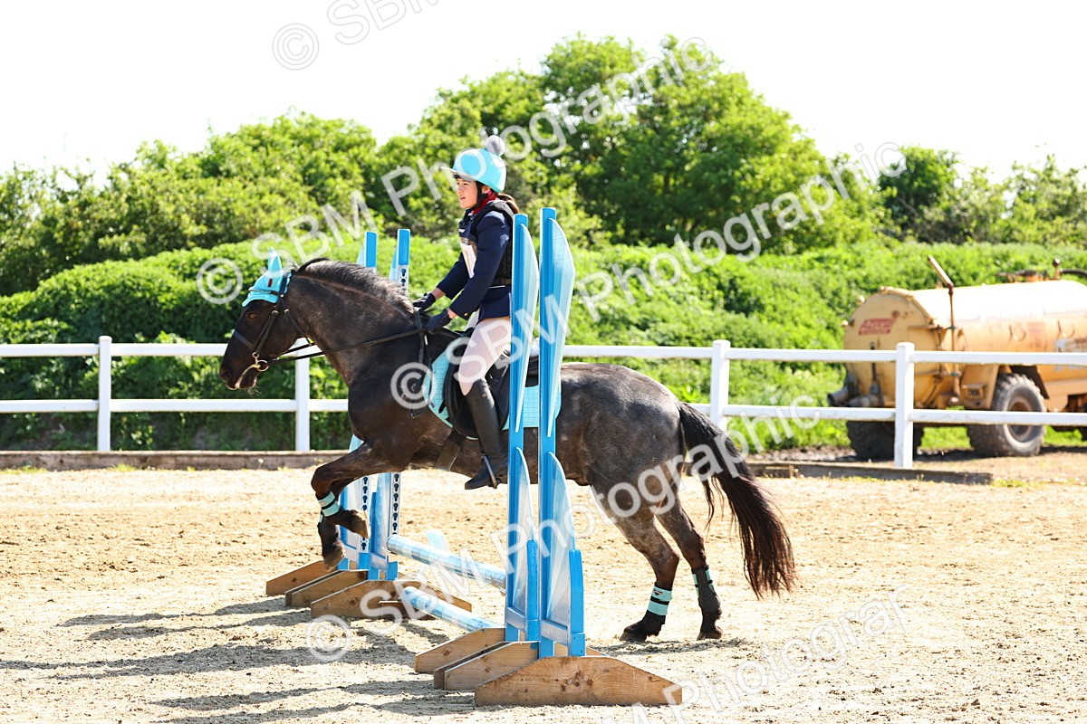 SBM_006783 - Class 2 - 50cm