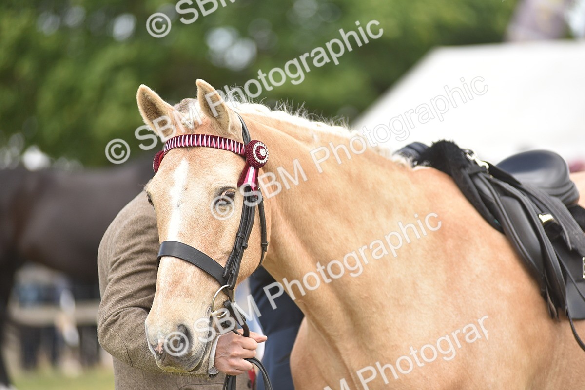 SBM_15948 - Class 117-122 - SSADL RIHS Qualifier