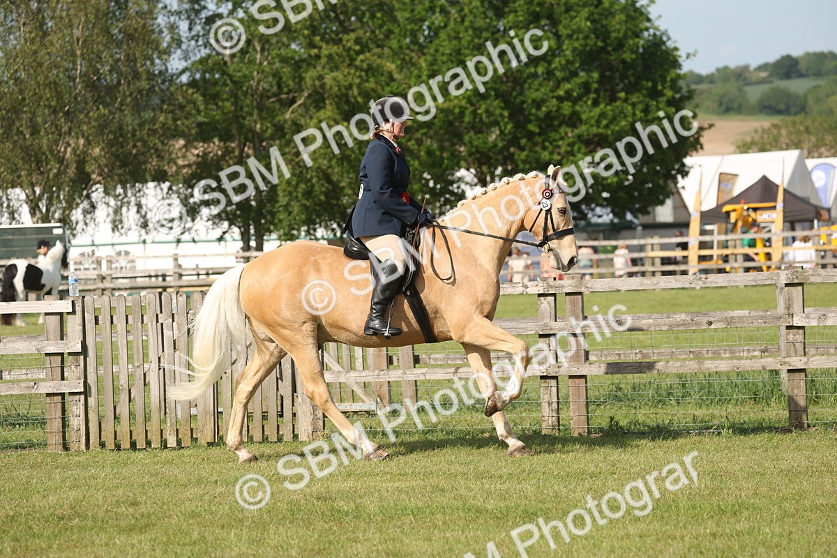 SBM_10247 - Class 33-38 - SSADL RIHS Qualifiers