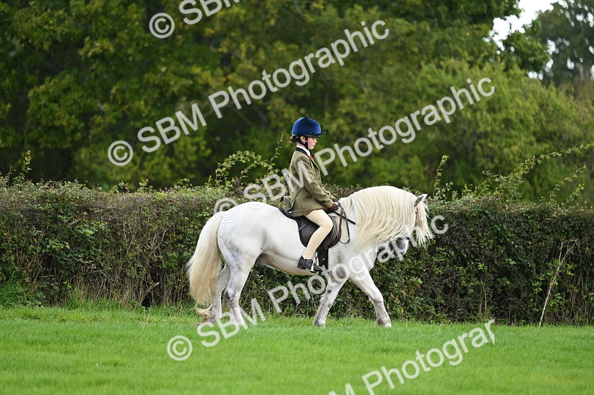 SBM_26544 - S7 - Novice & Newcomer Ridden Pony