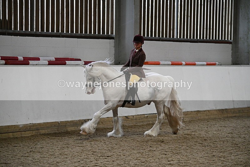 WJ7_4184 - Class 17 Ridden Cob