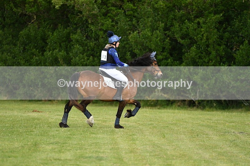 WJ5_2418 - Class 2 40cm