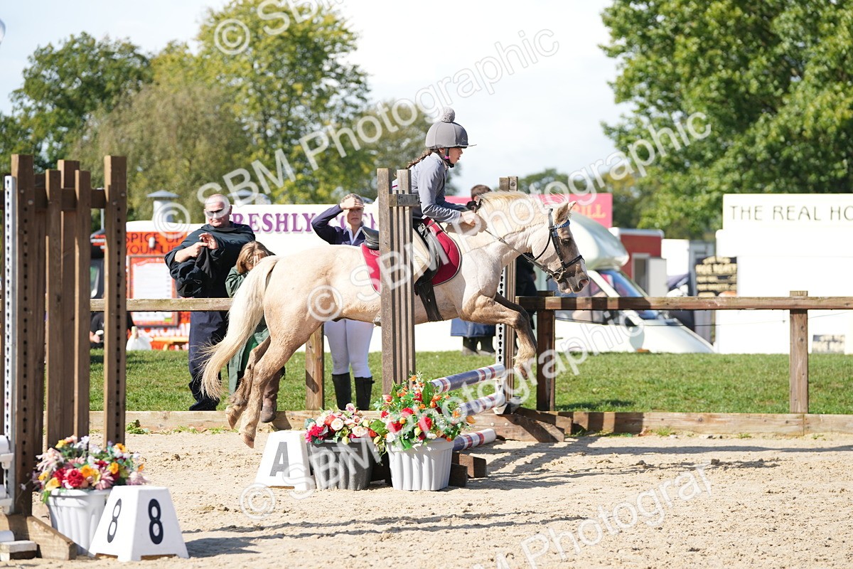 SBM_38310 - J6 - Junior Pony 55cm Championship