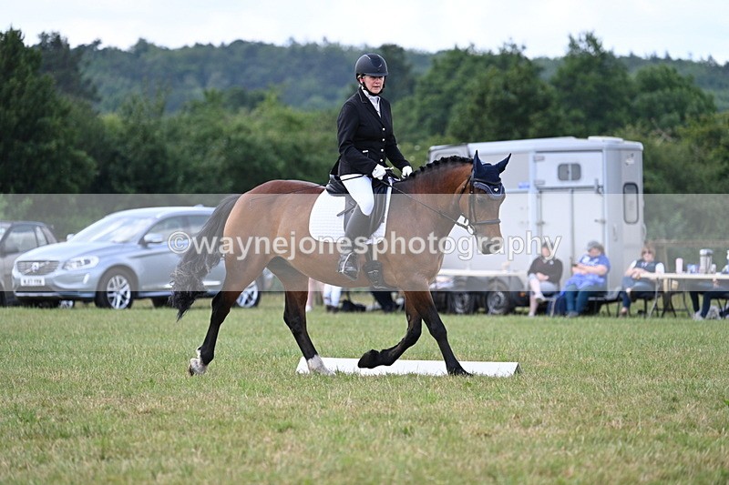 WJ7_5348 - Time 11:22 to 11:51