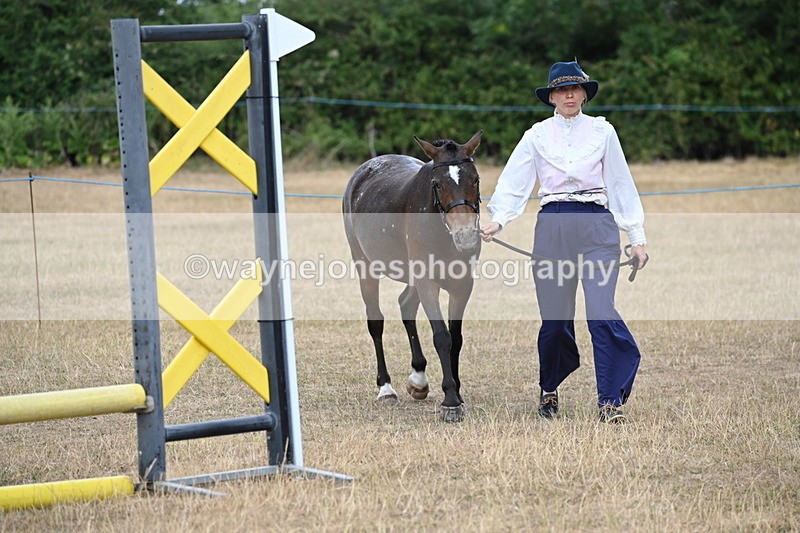 WJ6_8049 - Class 10 Coloured in Hand