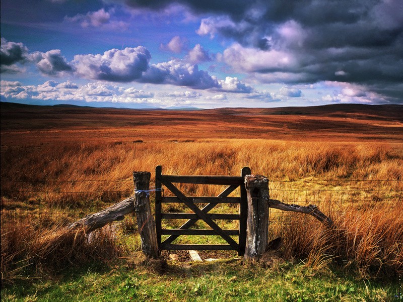Denbigh Moor North Wales - Land