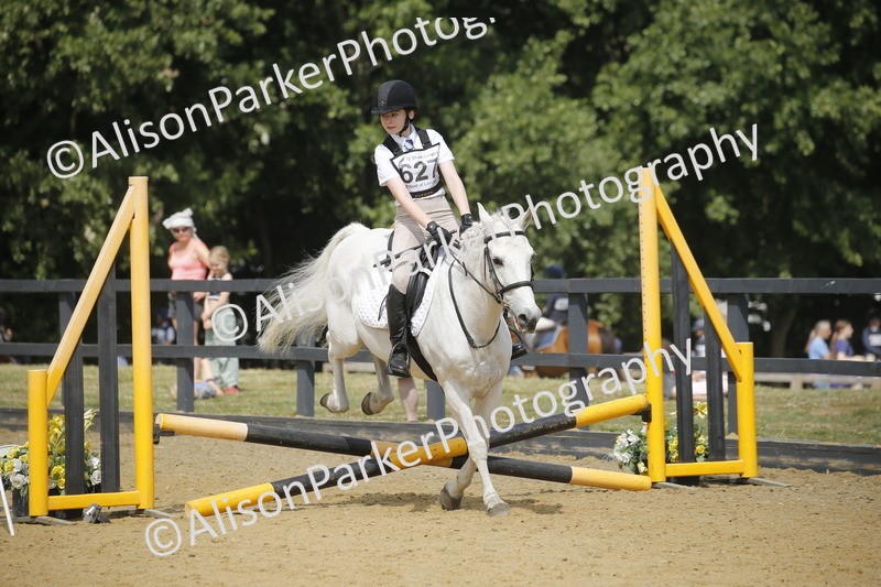 20250622-3908 - 50cm