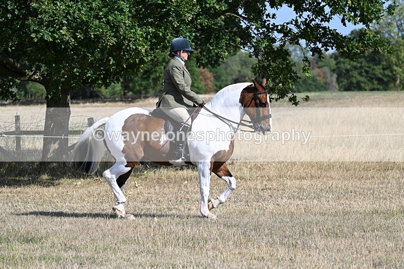 WJ7_2792 - Class 8 Ridden Tack & Turnout