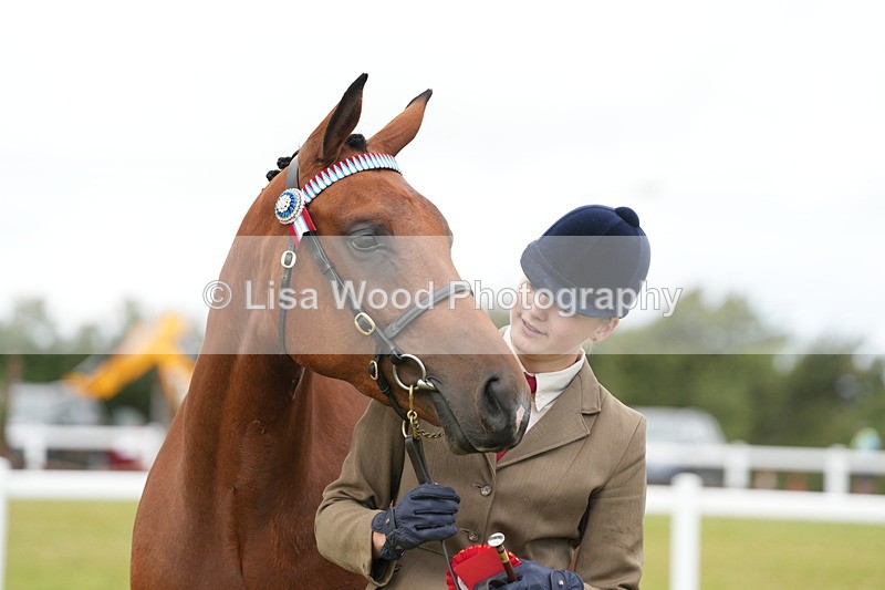 DSC06404 - Class 55: Hunter/Riding Horse/Hack 3 & 4 yr olds