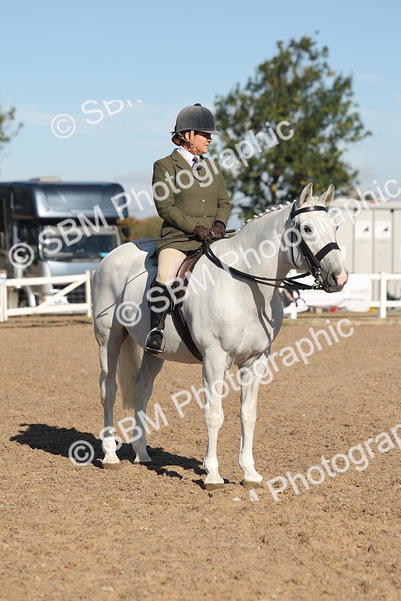 SBM_12223 - Class 303 - Ridden Pure Bred Horse Pony