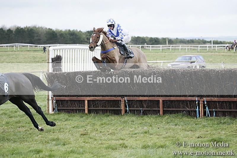 PtP 031217 499 - Hursley Hambledon Point-to-Point Larkhill 03/12/17
