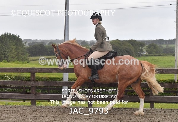 JAC_9793 - CLASS 2 Novice Working Hunter (0.60m - 0.70m)
