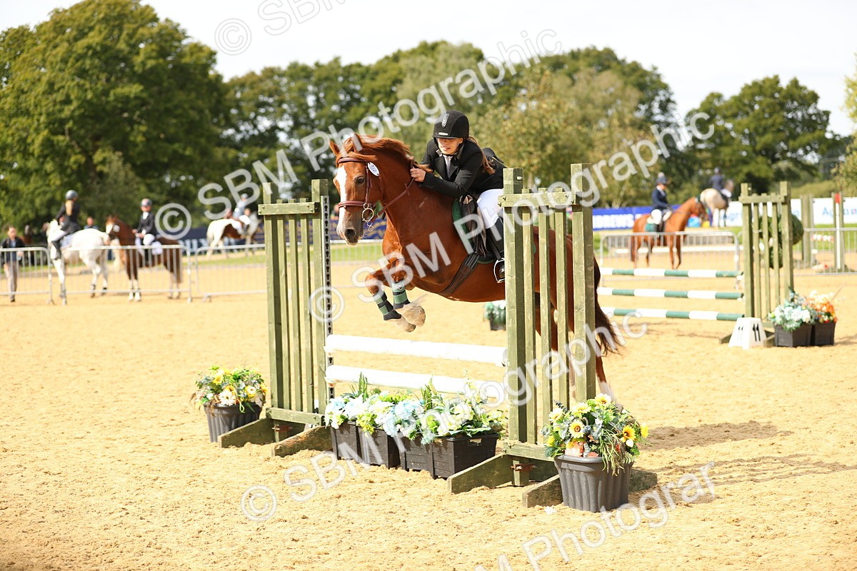 SBM_66019 - J17 - Junior Pony 80cm Championship