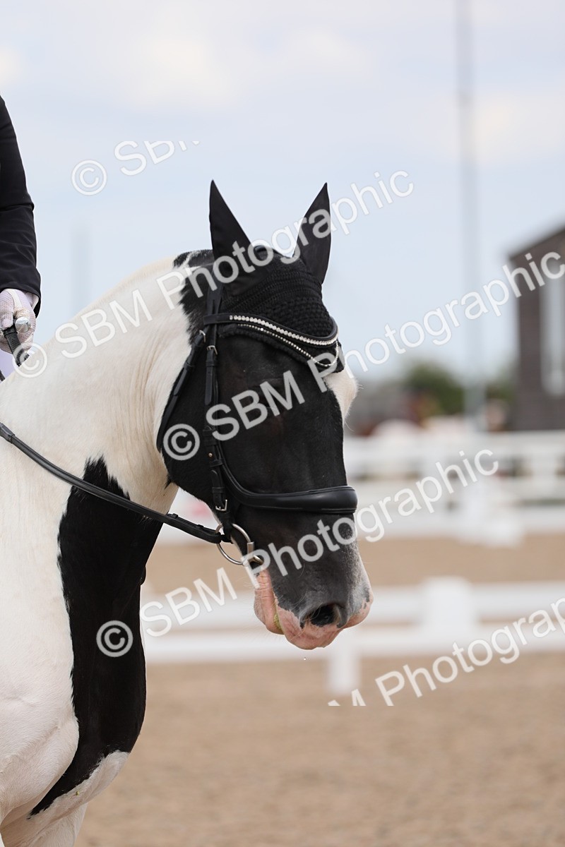 SBM_05598 - Class 32 Novice 1