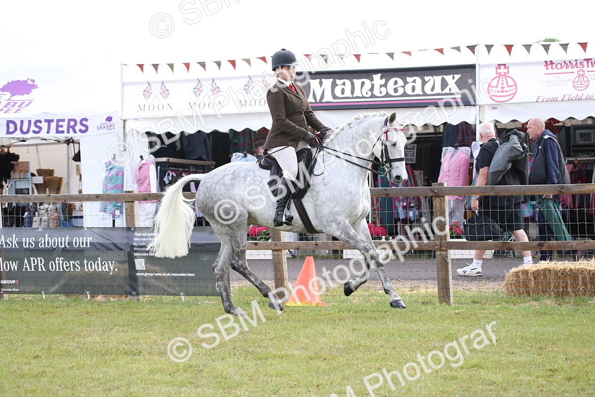 SBM_11512 - Class 95-96 - LIHS BSHA Rising Star Hack Riding Horse