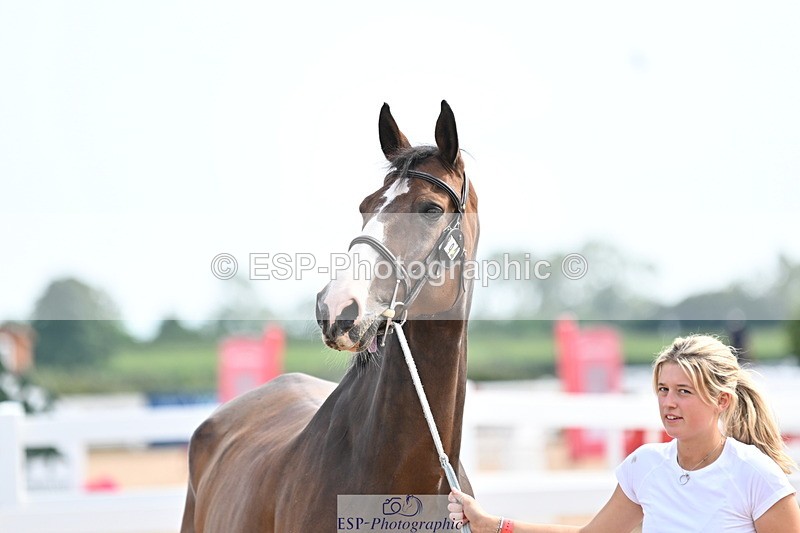 240717A-162017-03417 - Trot Up 4pm to 5pm