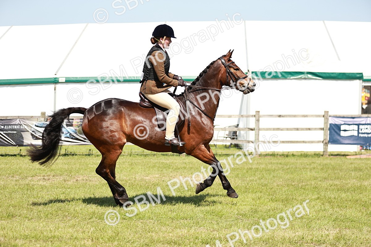 SBM_17612 - Class 112-113 - BSPS LIHS Working Sports Pony