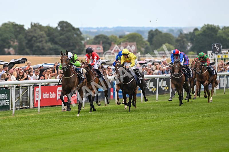 290725-Race 2-Queen Roslyn-9747 - Race 2