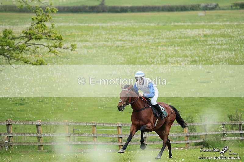 PtP 040526 511 - Mollington Point-to-Point 04/05/26