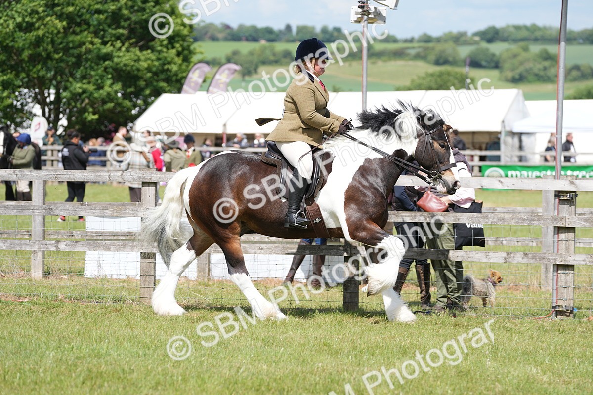 SBM_17132 - Class 107-108 - LIHS BSPS Performance Coloured Horse Pony