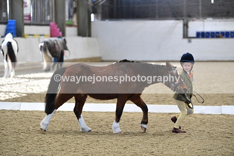 WJ5_3771 - Class 5 In Hand Veterans