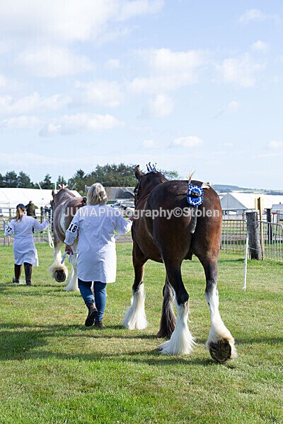 DSC_0085 - Ring 1