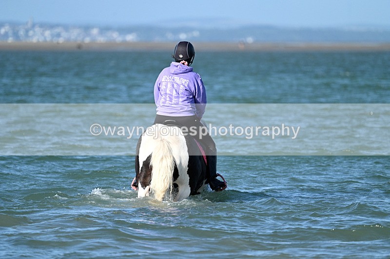 WJ7_3489 - Kellie & Churchill ... do Hayling Island 25-08-24