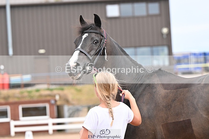 250716-153311-02002 - Trot Up 3.30 to 4.30