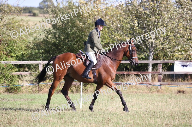 20260906-0352 - Class 14 - Ex Racehorse
