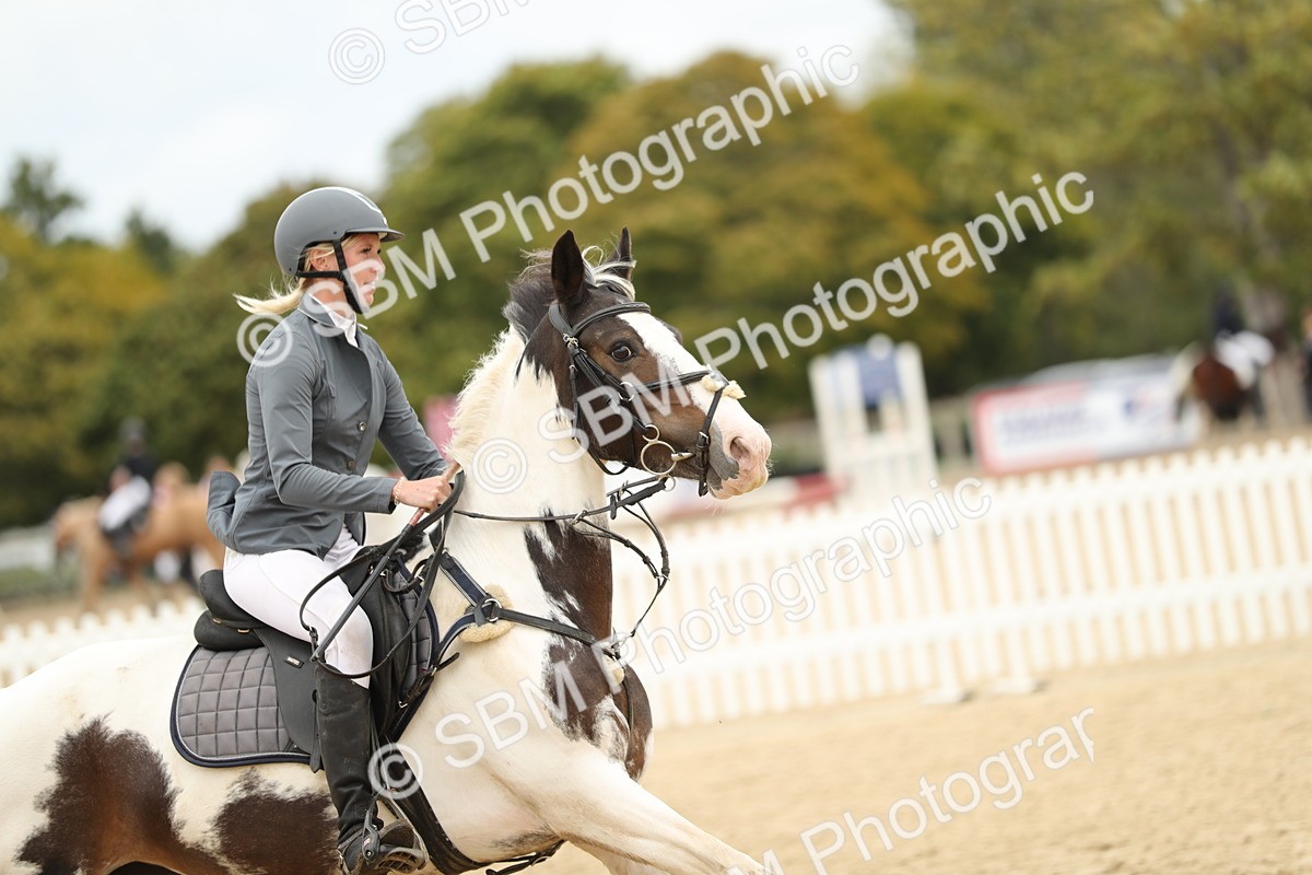 SBM_65854 - J48 - Pairs Jumping Open 70cm & 85cm