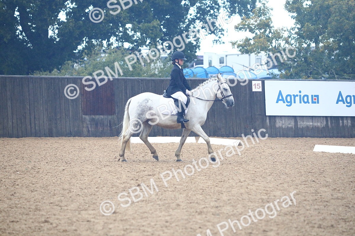 SBM_38861 - D21 - Junior Championship Intro 1